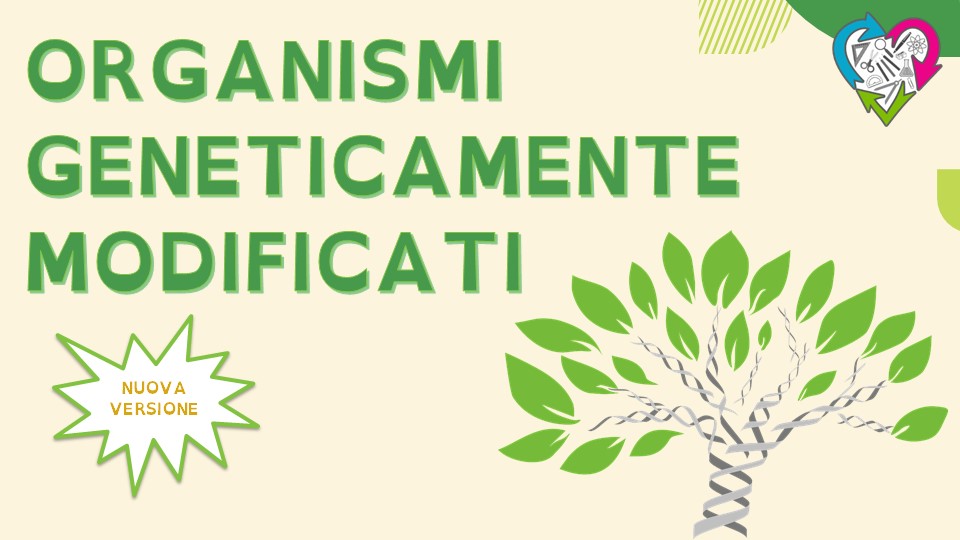 Gli Organismi Geneticamente Modificati Blog Didattico